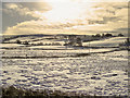 Snow-covered Fields south of vthe A5 between Glasfryn and Cerrigydrudion