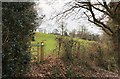 Footpath towards Brooklands Farm