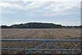 Ploughed field