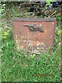 Old Milepost by the B8000, Auchenlochan, Kilfinan Parish