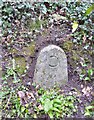 Old Bridge Marker by Station Hill, Chudleigh Parish