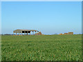 Isolated barn near Shingle Hall Farm