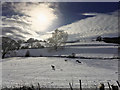 View across Cwm Ceirw from the A5 near to Ty-Nant