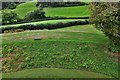 Restormel Castle: View from the Gatehouse Wall-walk