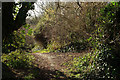 Path junction above Curlew Drive, The Willows