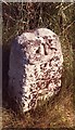 Old Milestone by the B1150, North Walsham Road, Crostwick Parish