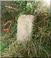 Old Guide Stone north of Trethennal, Veryan Parish