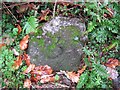 Old Milestone east of Aikie Bush, Terregles Parish