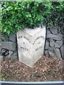 Old Milestone by the A486, north of Cross Inn, Llanllwchaiarn Parish