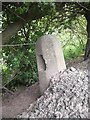 Old Milestone by the A934, Carcary, Farnell Parish