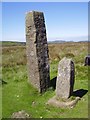 NZ6102 : Old Boundary Marker and Old Wayside Cross on Greenhow Moor, by David Garside