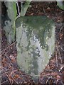 Old Milestone by the A957, north of Glaslaw Bridge, Dunnottar Parish