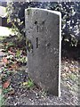 Old Milestone by Barskimming Road, Mauchline Parish