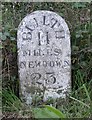 Old Milestone by the A483, Fron, Llanbadarn Fawr Parish