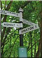 Old Direction Sign - Signpost by Beech Tree Hill, Spaxton Parish