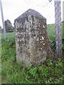 Old Milestone by the former A928, Petterden, Inverarity Parish