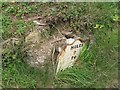 Old Milestone by the B4314, Llantydwell, Lampeter Velfrey Parish