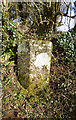 SX3780 : Old Boundary Marker east of Felldown Head, Dunterton Parish by Alan Rosevear