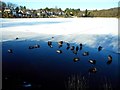 NS5575 : Tannoch Loch frozen by Richard Sutcliffe