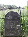 Old Milestone by the A620, Babworth Road, East Retford Parish