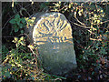 Old Milestone by the former A38, Benedicts Bridge, Ilsington Parish