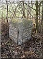 Old Milestone by the B3400, west of Fox Farm, Longparish Parish