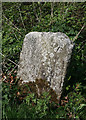 Old Milestone by the A386, south of Lake, Sourton Parish