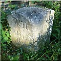 Old Milestone by the A337, Shrubbs Hill Road, Lyndhurst