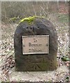 Old Milestone by the B4194, Withybed Wood, Kinlet Parish