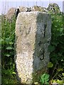 Old Milestone by the B7004, south of Whithorn