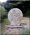 Old Wayside Cross - moved to Flushing churchyard, Mylor Parish