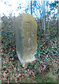 Old Milestone by the A48, The Purlieu, Lydney Parish