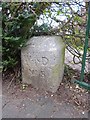 Old Boundary Marker - WD #5 by Dryden Road, Exeter Parish