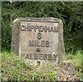 Old Milestone by The Hill, Little Somerford Parish