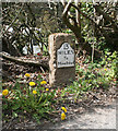 Old Milestone by the A396, Bridgetown, Exton Parish