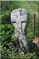 Old Wayside Cross north of Trevilley, Sennen Parish