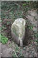 Old Milestone by White Hill, Burford Parish