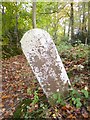 Old Boundary Marker by Silver Street path, Emery Down, Minstead Parish