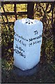 Old Milestone by the A696, near Saugh House, Belsay