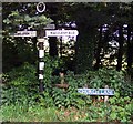 Old Direction Sign - Signpost by Church Lane, Gawsworth