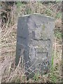 Old Milestone by the A933, Friockheim, Guthrie Parish