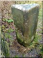 Old Boundary Marker by Hepworth Road, Holme Valley