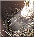 Old Milestone by the B5476, Quina Brook, Wem Rural parish