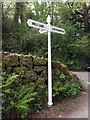 Old Direction Sign - Signpost by Mill Lane, Lustleigh, Devon