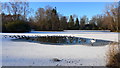 Partly frozen boating lake at Rouken Glen Park