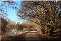 Footpath by the River Medway