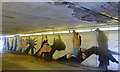NS5866 : Garscube Road pedestrian underpass by Thomas Nugent