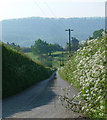 Country road near Burrington (1)