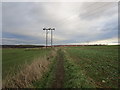 Footpath and power line