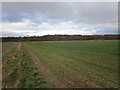 Footpath to the bank of the River Dearne